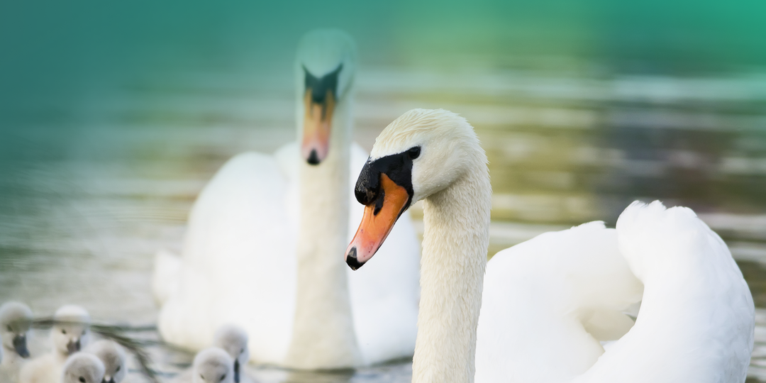 Семейная ипотека в 2026 году