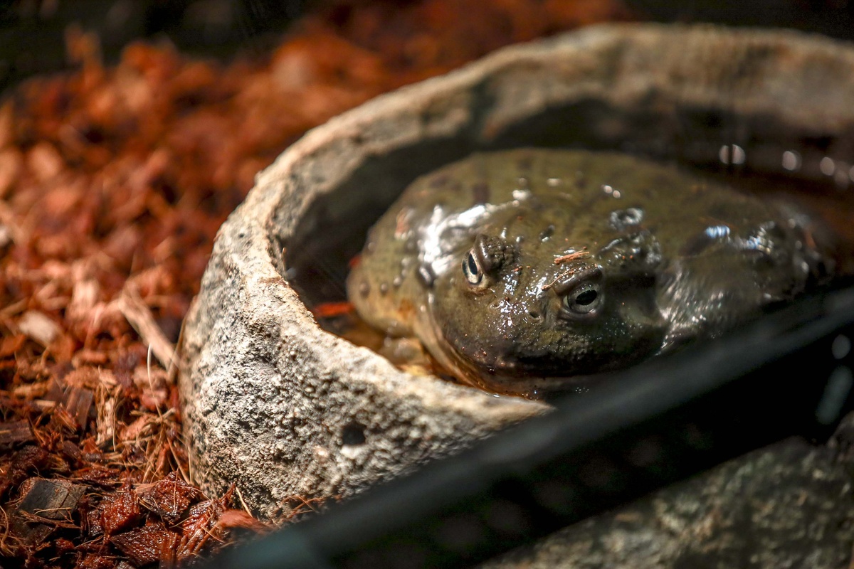    Фото: Павел Комаров, nsknews.info