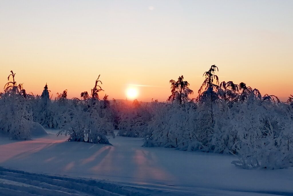    Фото: В курсе.ру Ульяна Бажанова