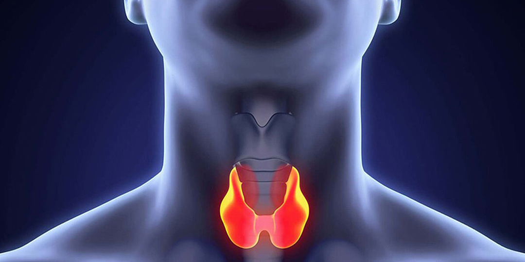Щитовидка: маленькая дирижер большого оркестра. Когда она сбивается с ритма