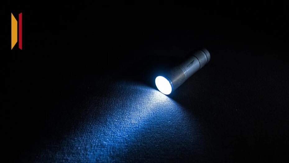    Автор фото: Виктория Курляндская (из архива)