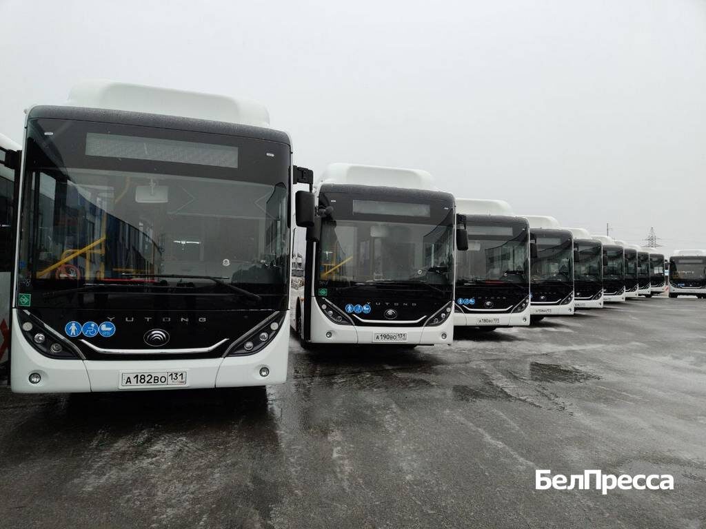     Фото: Маргарита Грачёва