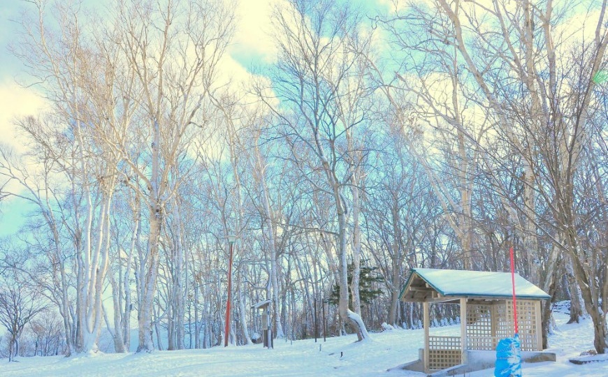 В Молдову идут сильные морозы: температура опустится до −20 градусов