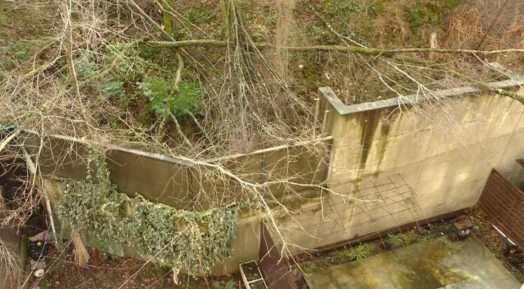 архивное фото Сочи24  📷
