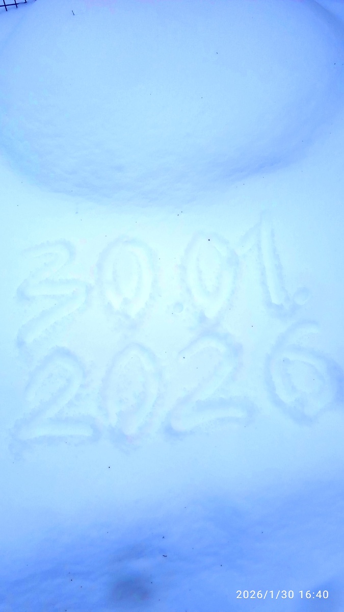 Не последний снежок-то...