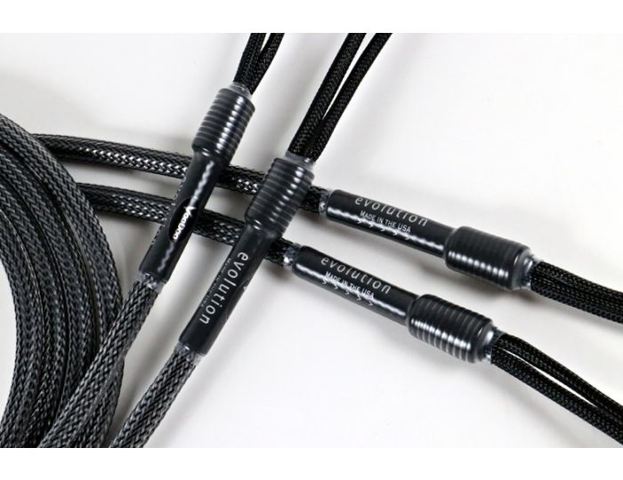 Voodoo Evolution Speaker безусловный лидер