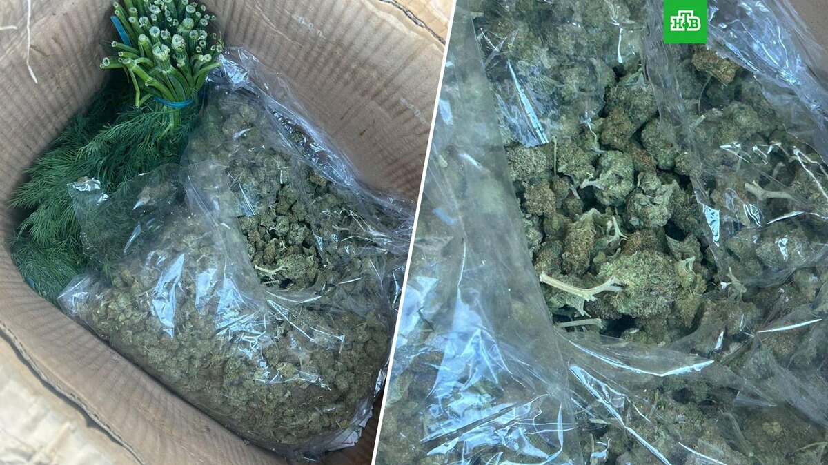    Фото: fsvps_official / t.me