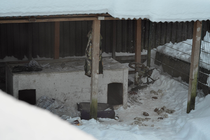    Динара Сурмеева/ТАСС