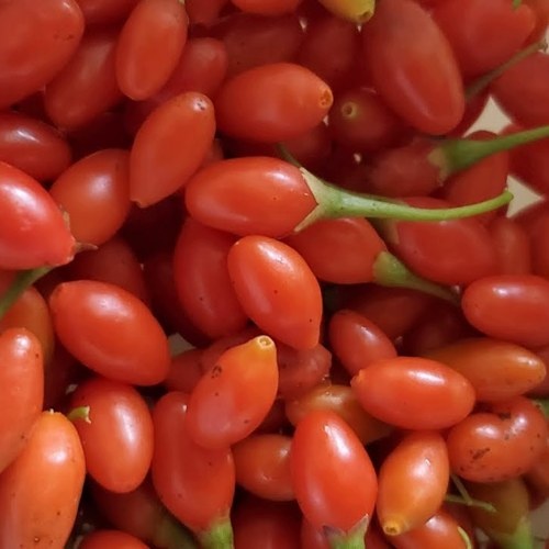 Ягоды годжи