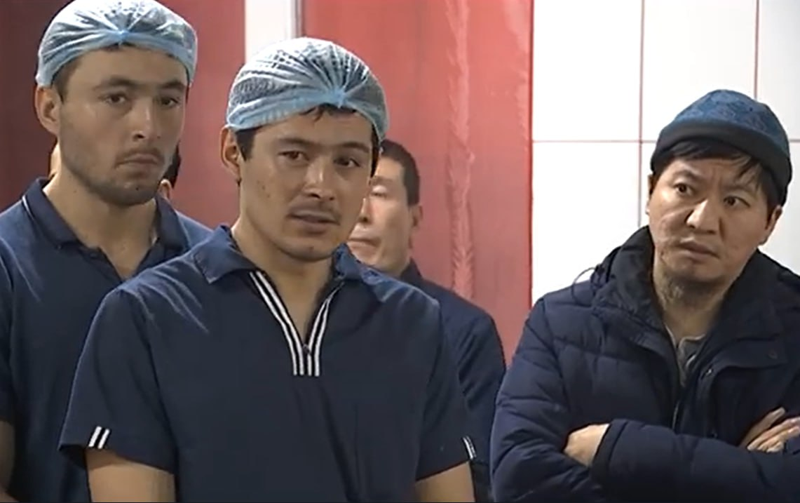 Фото: Prt Scr rutube.ru / МВД МЕДИА