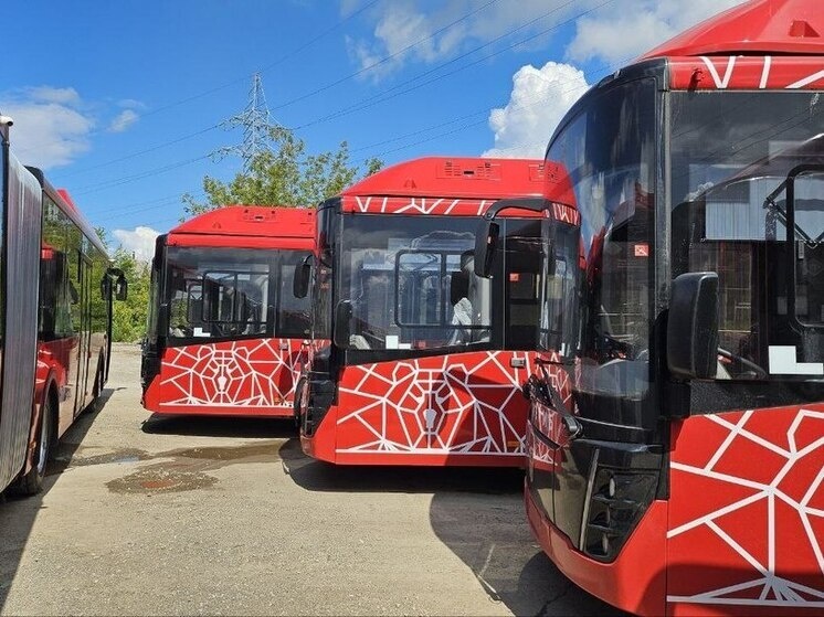     «Пермский транспорт»