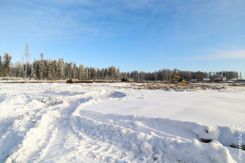    Сегодня глава города Роман Маслов проверил, как Пуловский лес расчищают от поваленных деревьев