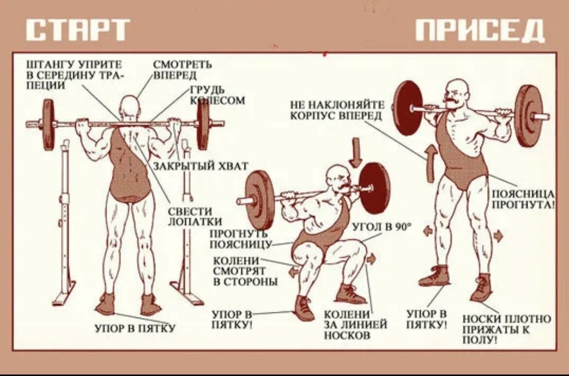 Приседания со штангой