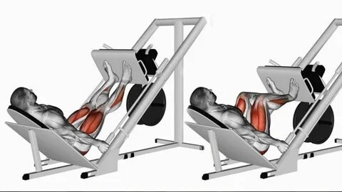 Жим ногами в тренажере