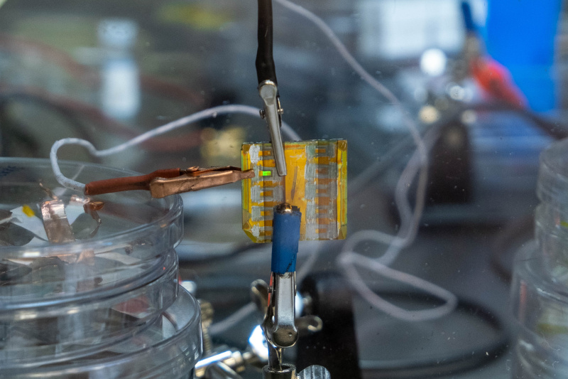 Фото: Ольга Кущенко / Новый физтех ИТМО