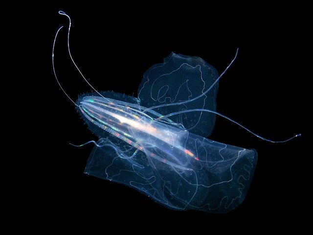    Фото: ТАСС/imago stock&people