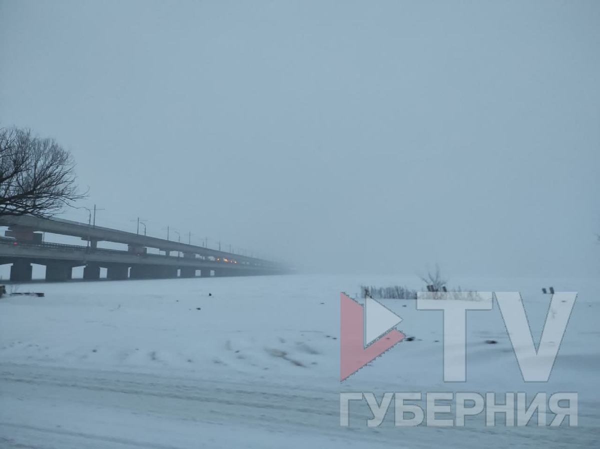     Фото: TV Губерния