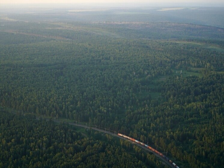     ФОТО ИЗ ТЕЛЕГРАМ-КАНАЛА ПРАВИТЕЛЬСТВА ИРКУТСКОЙ ОБЛАСТИ