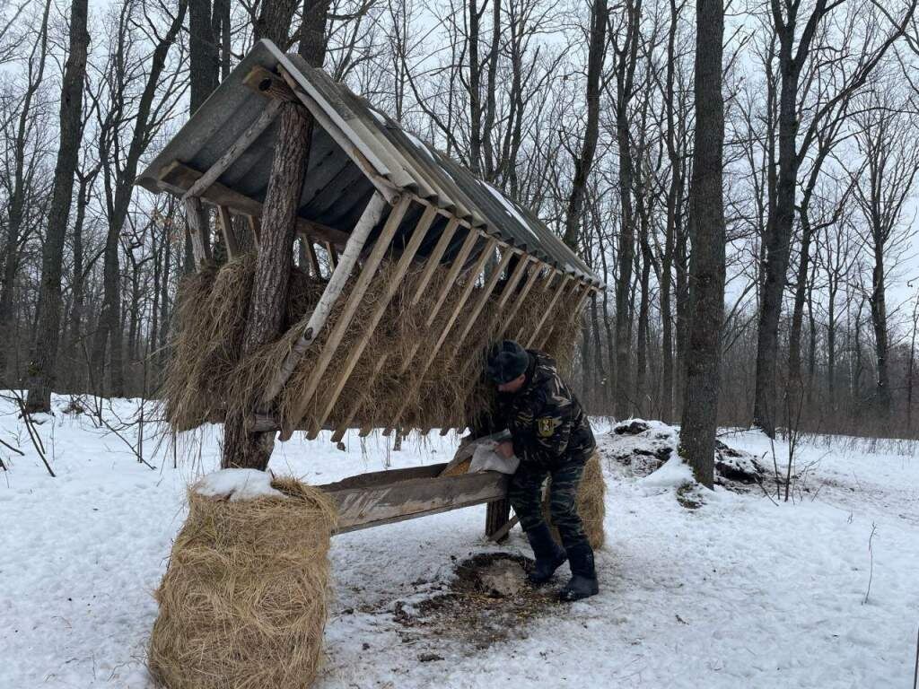    фото: Министерство природных ресурсов Курской области