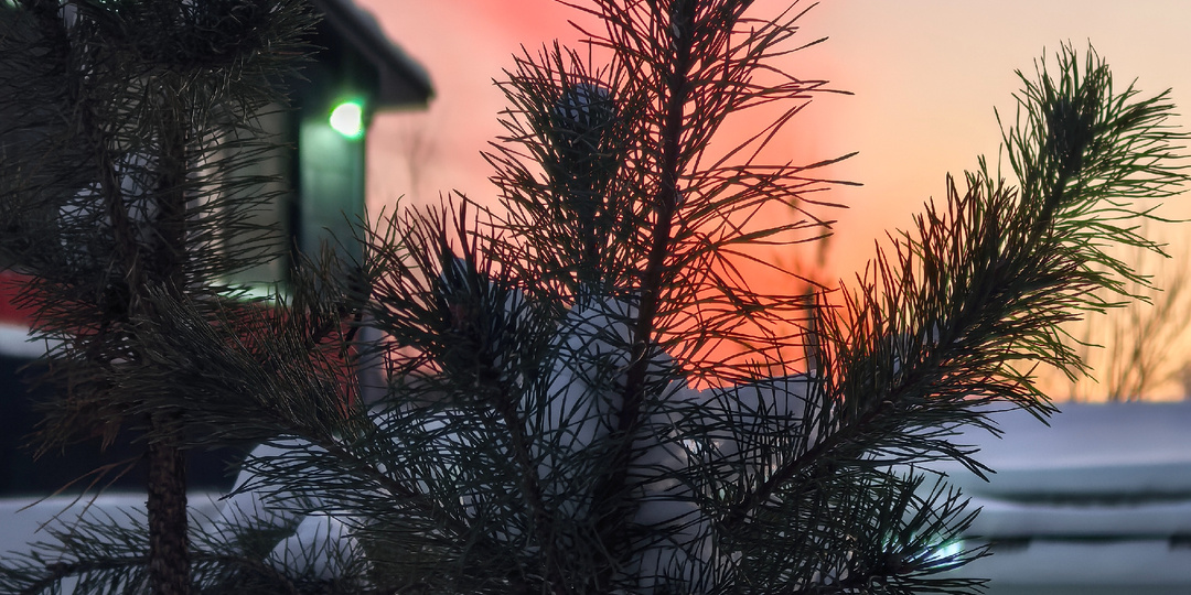 Тишина, в которой слышно сердце. История одной любви...