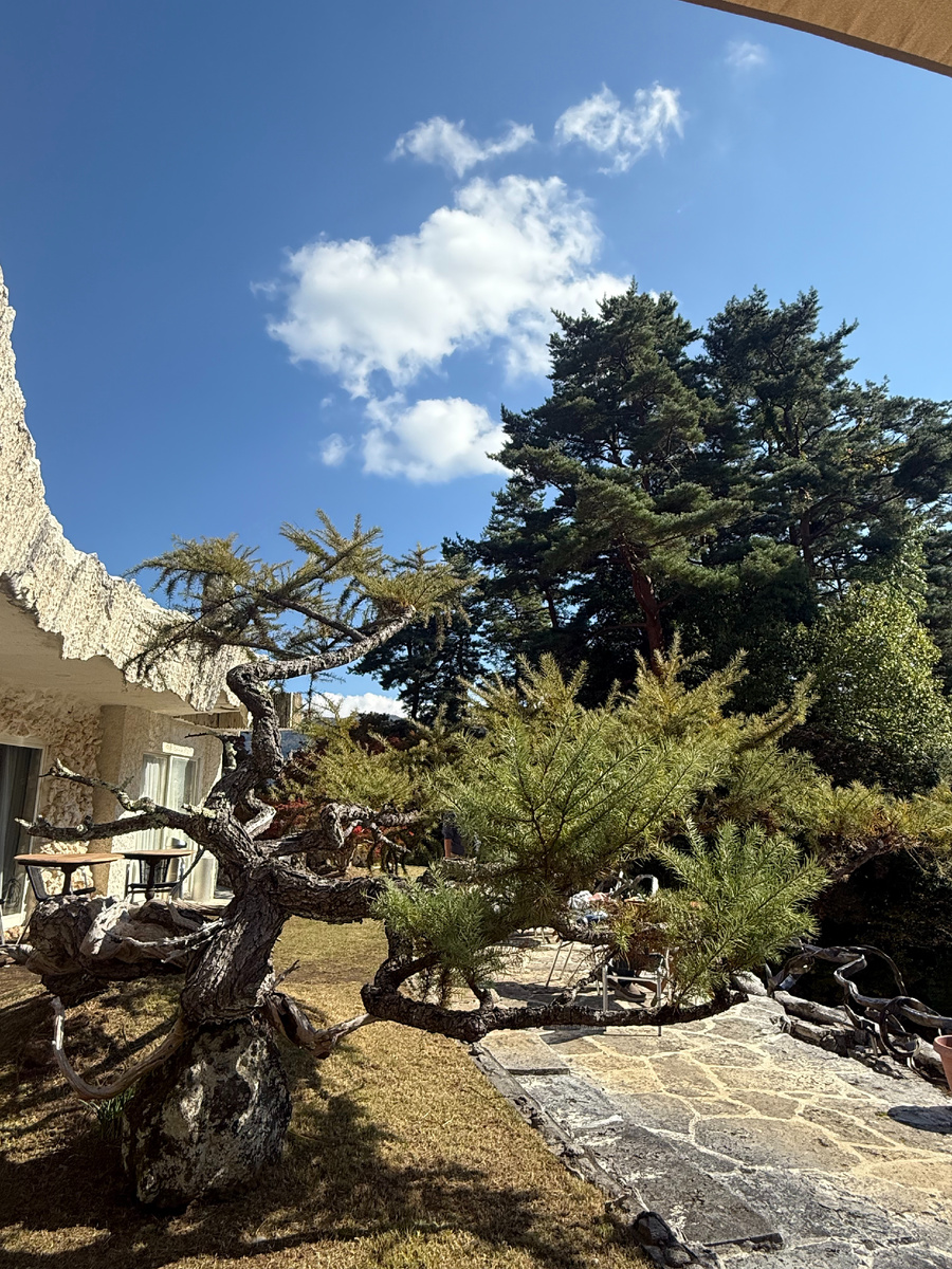 Фото из личного архива Yohaku