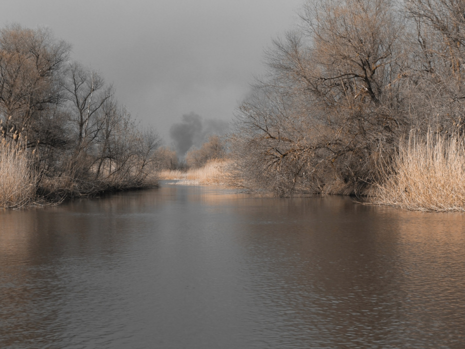    Владимир Вяткин / РИА Новости