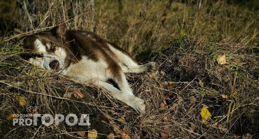    Фото "Про Город"