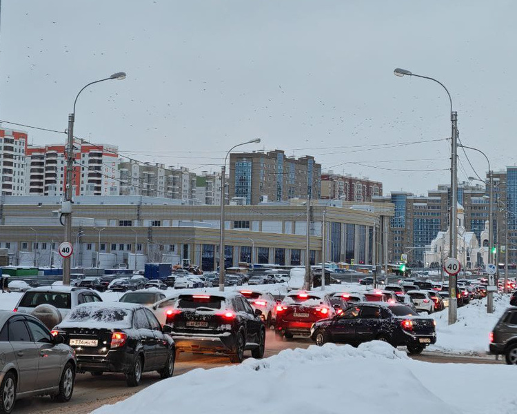     В Минтрансе Курской области опубликовали номер для помощи на дорогах