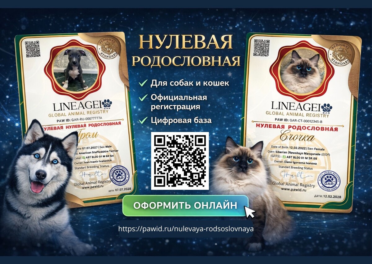 GAR — это современный, цифровой и надёжный способ начать племенную историю вашего животного.