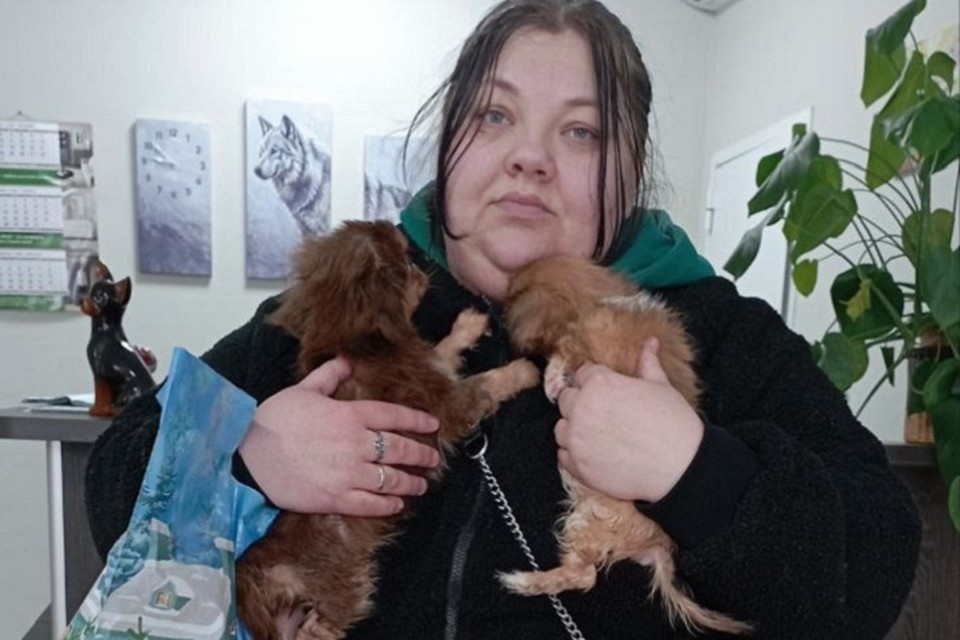    Недавно двум маленьким щенкам посчастливилось обрести любящую семью. Фото: Администрация Донецка