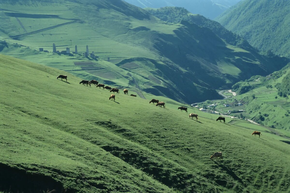     © РИА Новости. Александр Поляков