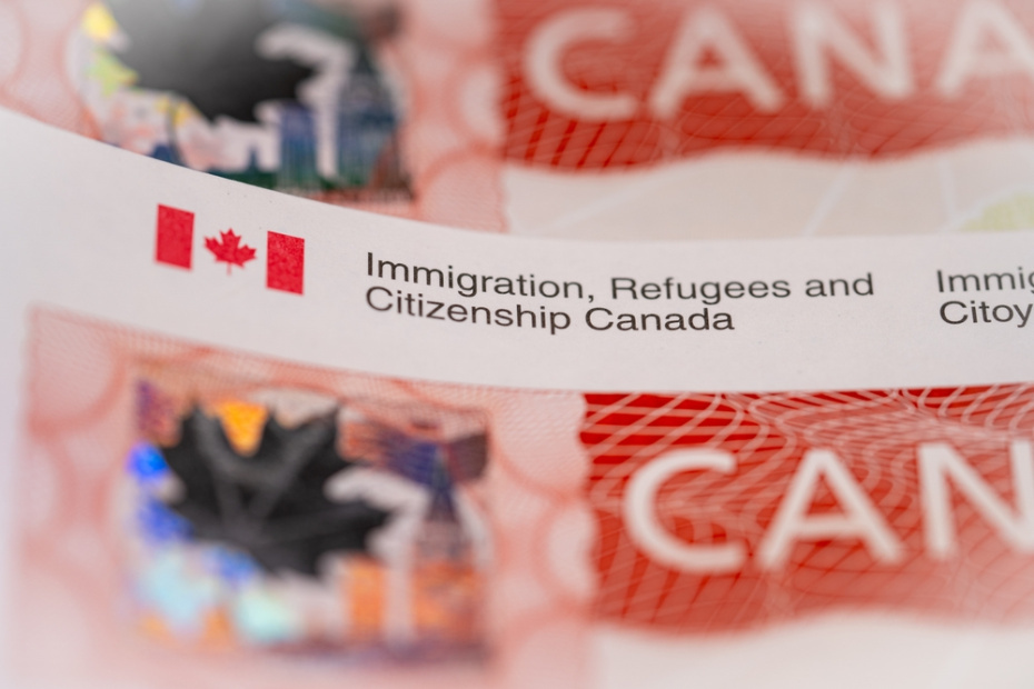    Shutterstock/FOTODOM