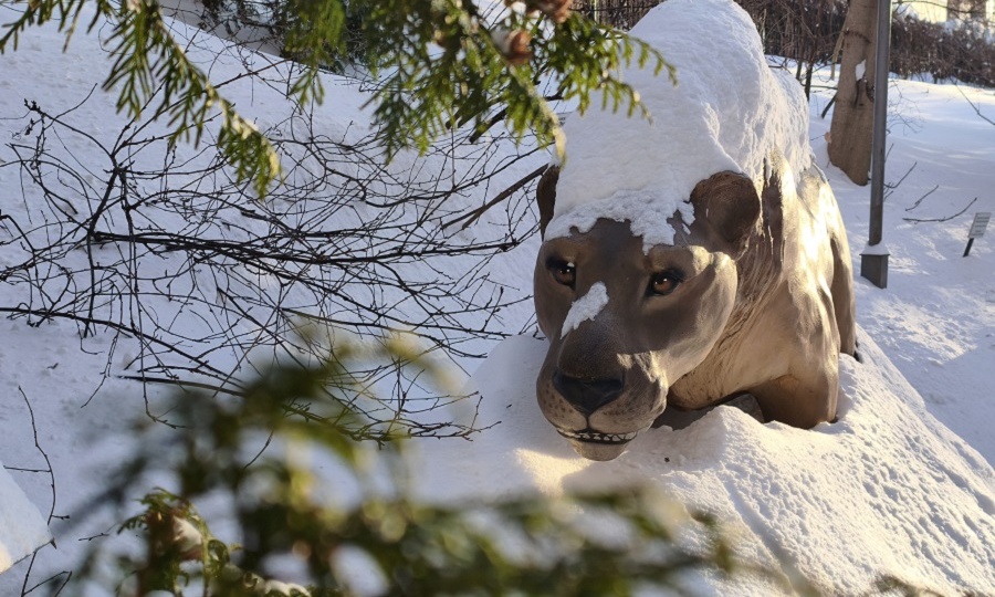 А так ли было холодно в ледниковом периоде?