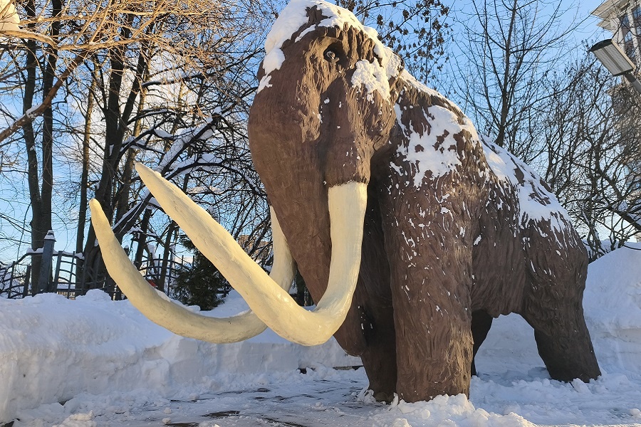 И даже в голоцене можно повстречать мамонта, если пройтись вокруг Дарвиноского музея.