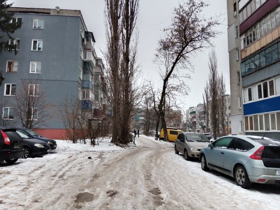    Курянам предлагают сообщать в свою УК о проблемах с уборкой, а в случае ее бездействия – в жилинспекцию Светлана ВОЛКОВА