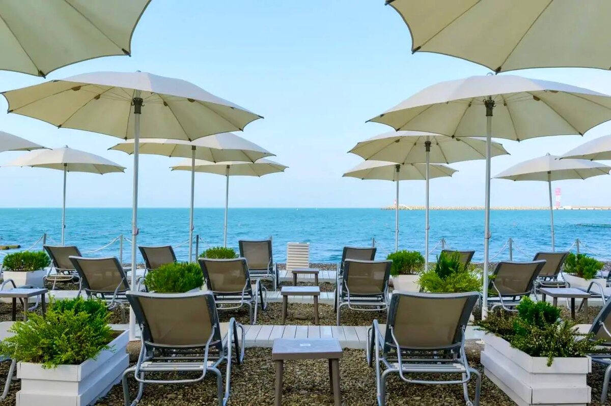 фото: Telegram/Сочи Официальный  📷
