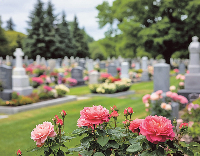 Новые правила похорон с 2026: можно ли подзахоронить родственника в старую могилу?