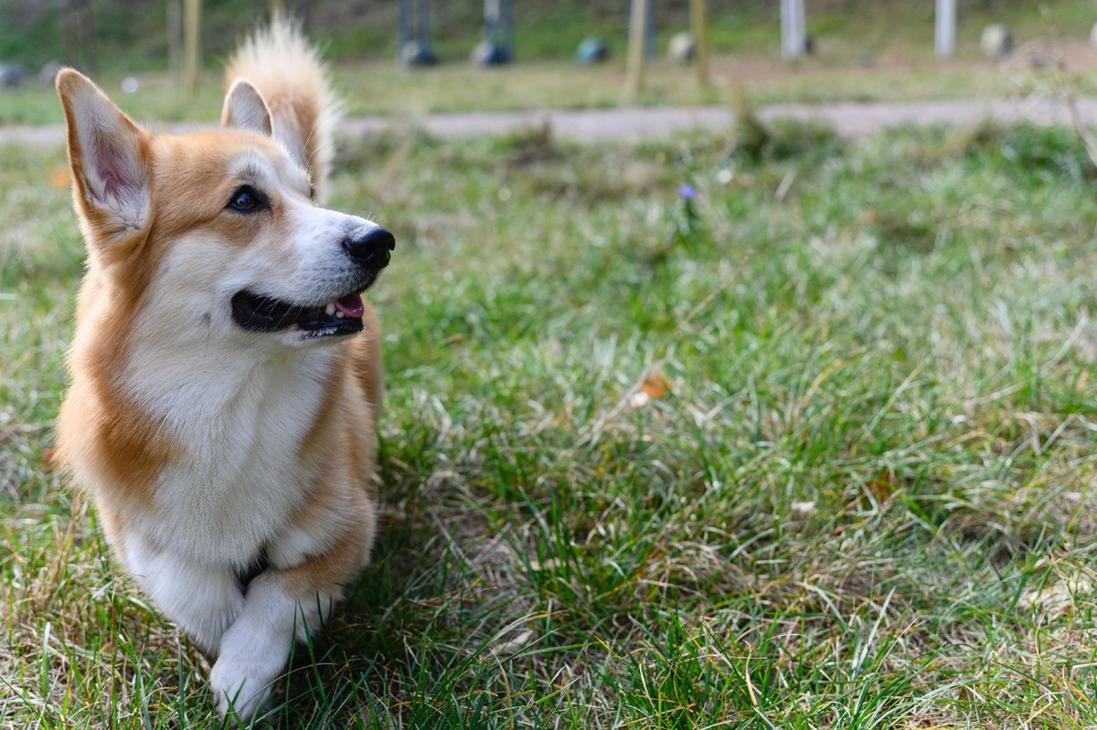    Фото: iStock/O_Lypa