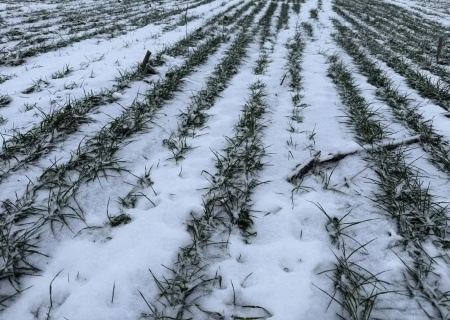    Урожай под угрозой: почва на полях ЛНР промёрзла на рекордные 37 сантиметров
