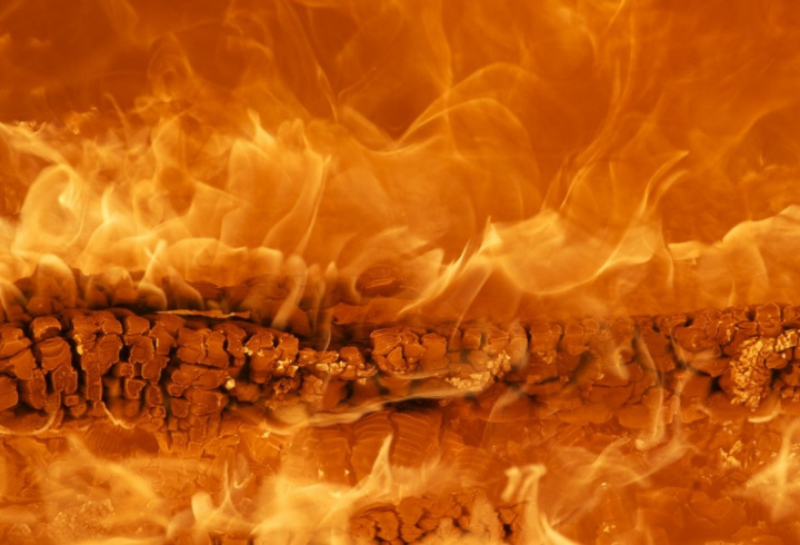 фото: pxhere.com