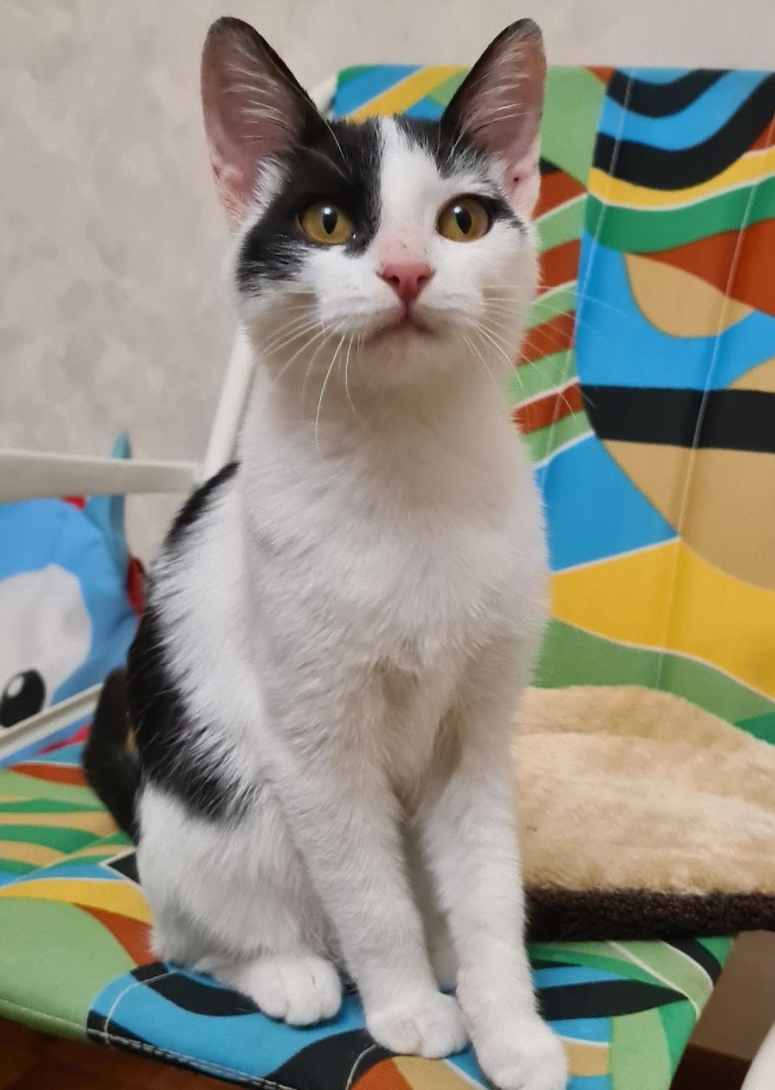 Ева, дочь Веснушки