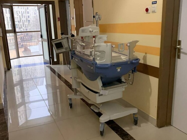     фото: архив мк в Мурманске