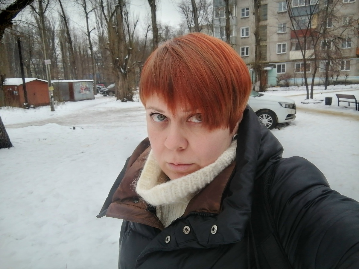 рыжая лисица