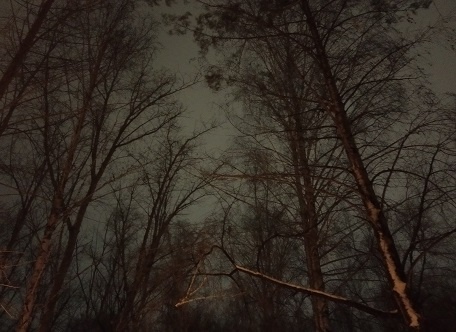 Фотография из личного архива автора