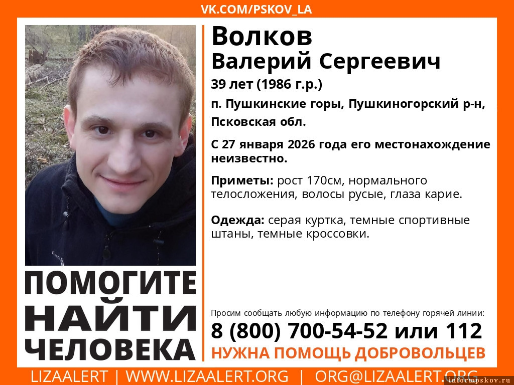 Изображение: поисковый отряд «ЛизаАлерт» Псковской области
