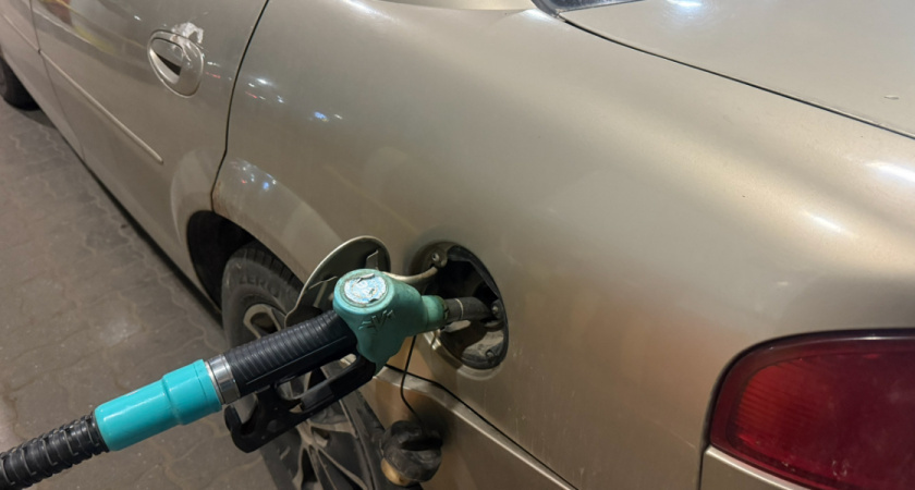    Автор фото — Анастасия Козлова