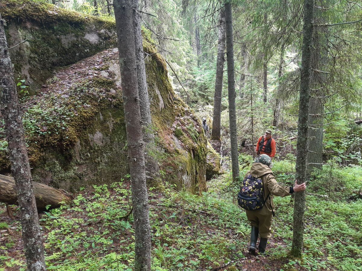    фото: © КарНЦ РАН