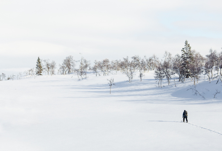 фото: pxhere.com