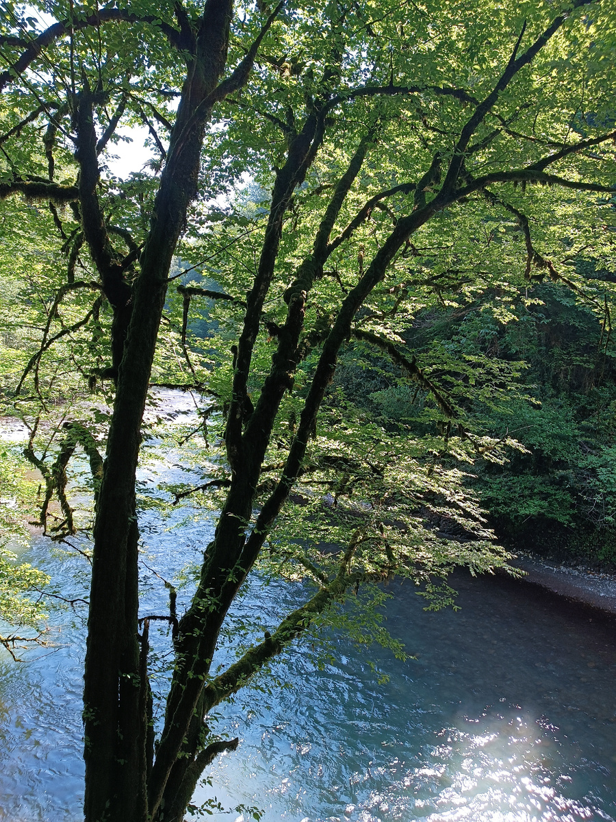 По дороге к водопаду "Нижний Ажек".