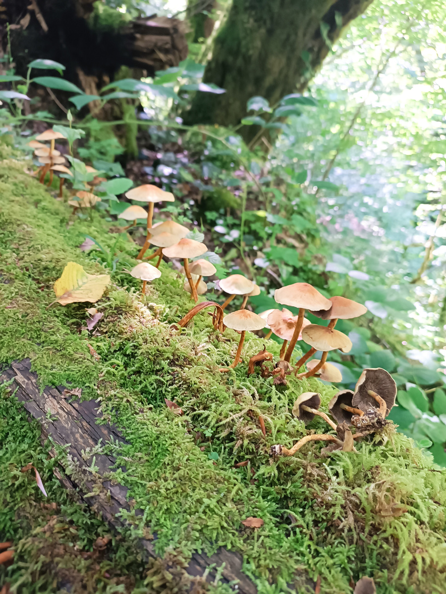 По пути у нас очень много красоты